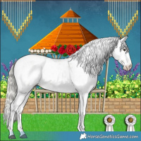Horse Color:Watercolor Chocolate Palomino Onyx Sabino Blanket 