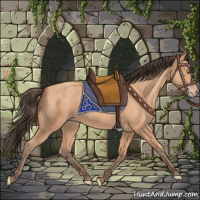 Horse Color:Amber Champagne 