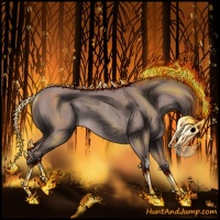 Horse Color:Platinum Bay Roan Rabicano 