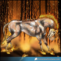 Horse Color:White Spotted Gold Champagne Rabicano