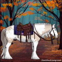 Horse Color:White Spotted Brown Dun Splash Appaloosa