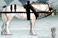 Horse Color:White Spotted Smoky Creme Appaloosa 