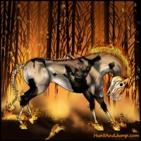 Horse Color:Void Bay Onyx Splash Tobiano