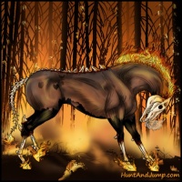 Horse Color:Void Bay Splash 