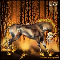 Horse Color:Void Bay Onyx 