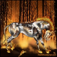 Horse Color:White Spotted Brown Onyx 