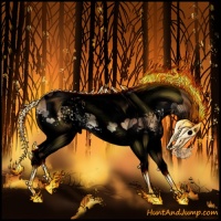 Horse Color:Void White Spotted Bay Onyx Splash Tobiano