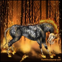 Horse Color:Grullo Tobiano Varnish  and Void Black Tobiano Rabicano 