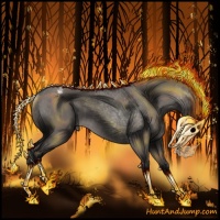 Horse Color:Grullo Appaloosa Rabicano