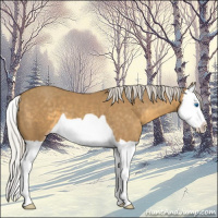 Horse Color:Silver Classic Cream Champagne Splash 
