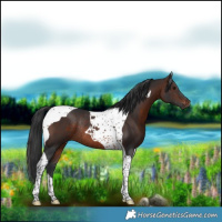 Horse Color:Brown Tobiano Rabicano