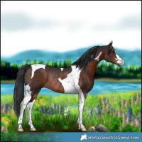 Horse Color:Brown Tobiano Rabicano