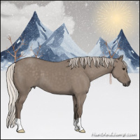Horse Color:Silver Grullo 