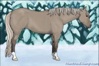 Horse Color:Silver Grullo 