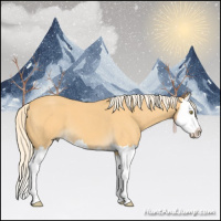 Horse Color:Palomino Roan Splash 