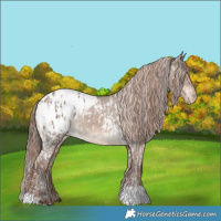 Horse Color:Liver Red Dun Tobiano Blanket  and Liver Red Dun Snowcap Rabicano 