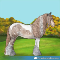 Horse Color:White Spotted Liver Red Dun Tobiano Appaloosa Brindle 