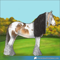 Horse Color:White Spotted Buckskin Splash Tobiano 