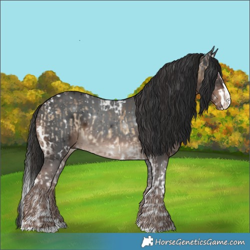 Horse Color:White Spotted Brown Onyx Splash Tobiano  and White Spotted Liver Chestnut Splash 