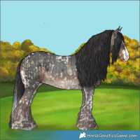 Horse Color:White Spotted Brown Onyx Splash Tobiano and White Spotted Liver Chestnut Splash