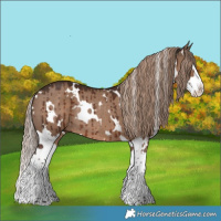 Horse Color:White Spotted Liver Red Dun Splash Rabicano Brindle 
