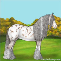Horse Color:White Spotted Liver Red Dun Splash Appaloosa 