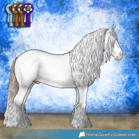 Horse Color:White Spotted Chocolate Palomino Splash Tobiano Appaloosa  and White Spotted Red Dun Splash Appaloosa 