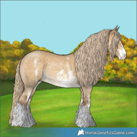 Horse Color:Chocolate Palomino Dun Sabino Rabicano 