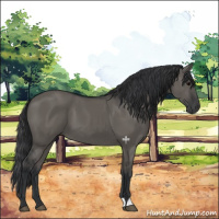 Horse Color:Grullo 