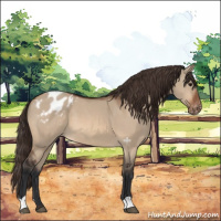 Horse Color:Bay Dun Varnish 