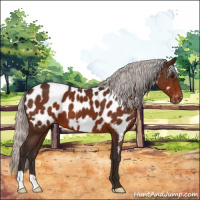 Horse Color:Silver Bay Near Leopard 