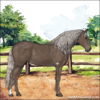 Horse Color:Silver Black 