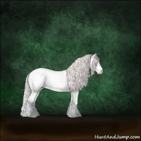Horse Color:Perlino Dun Sabino 