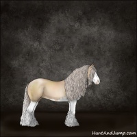 Horse Color:Chocolate Palomino Pearl Splash