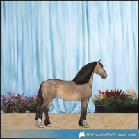 Horse Color:Buckskin Dun 