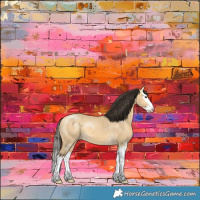 Horse Color:Buckskin Dun Sabino Splash 