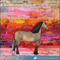 Horse Color:Buckskin Dun 