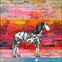 Horse Color:Smoky Black Sabino Splash Appaloosa 