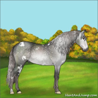 Horse Color:Gray Platinum White Spotted Chocolate Palomino Rabicano 