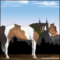 Horse Color:Buckskin Tobiano 
