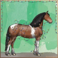 Horse Color:Liver Chestnut Tobiano 