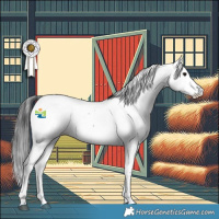 Horse Color:Blue Roan Fewspot Rabicano 