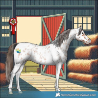 Horse Color:Bay Roan Tobiano Appaloosa Rabicano 