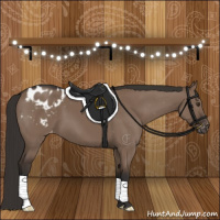 Horse Color:Liver Red Dun Appaloosa 