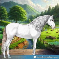 Horse Color:Bay Dun Appaloosa Brindle