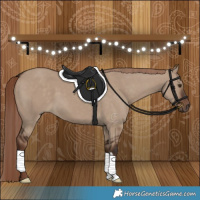 Horse Color:Liver Red Dun 