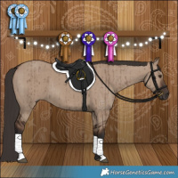 Horse Color:Liver Red Dun Brindle 