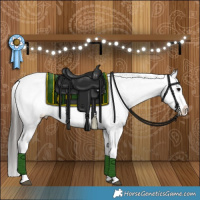 Horse Color:Grullo Appaloosa Brindle 