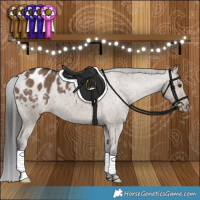Horse Color:Liver Red Dun Appaloosa Brindle