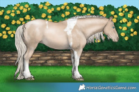 Horse Color:Chocolate Palomino Pearl Tobiano 